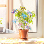 8PCS Colorful Sea Turtles Diamond Painting Garden Stakes