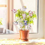 8PCS Cute Cows Diamond Painting Garden Stakes