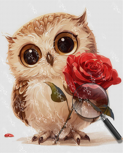 Owl with Red Rose Diamond Painting