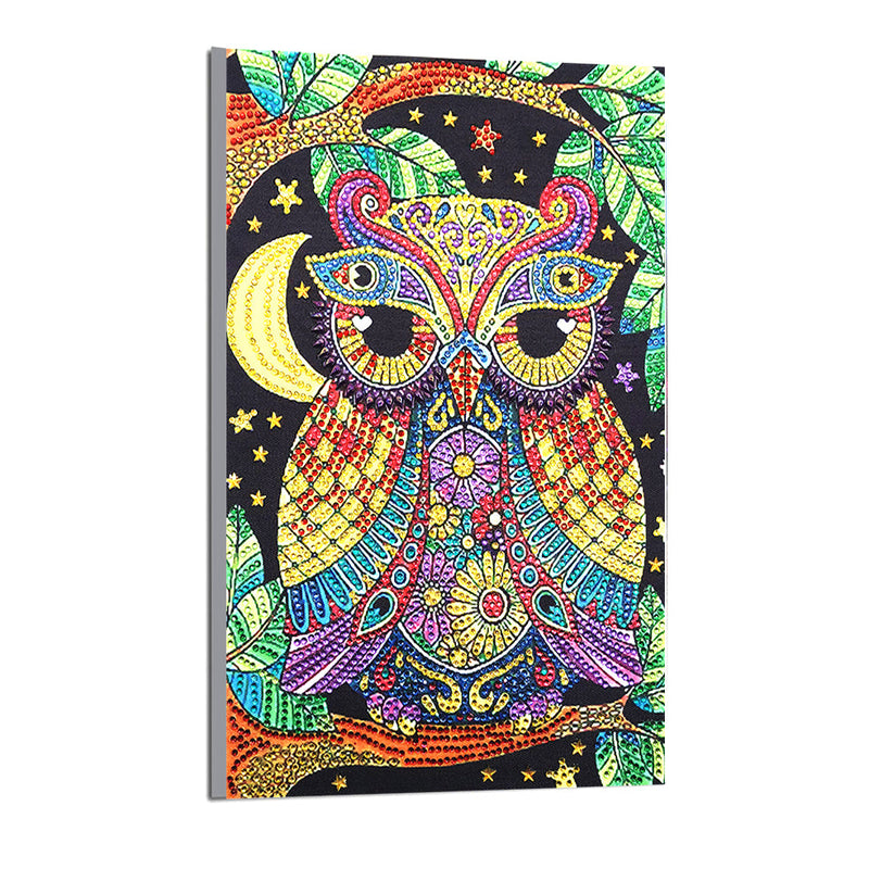 Colorful Owl Special Shaped Drills Owl Diamond Painting