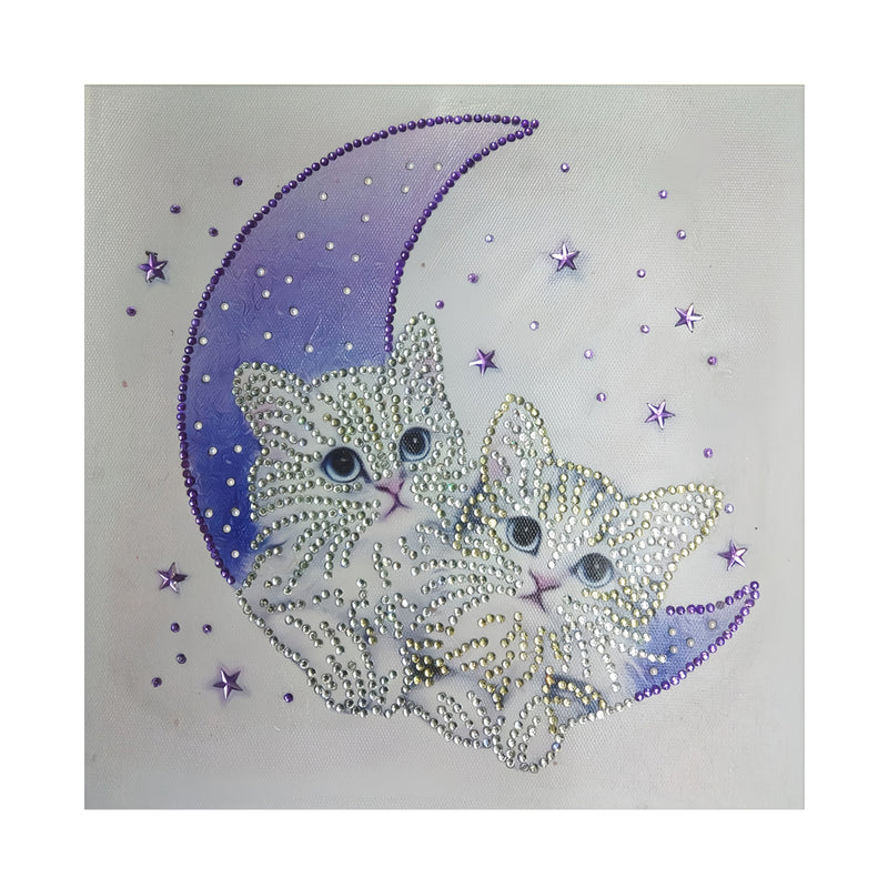 Cat on the Moon Special Shaped Drills Diamond Painting