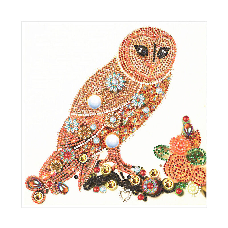 Orange Owl Special Shaped Drills Diamond Painting