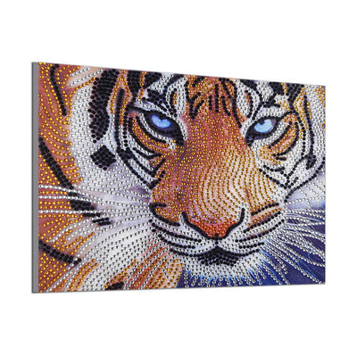 Tiger's Gaze Special Shaped Drills Diamond Painting