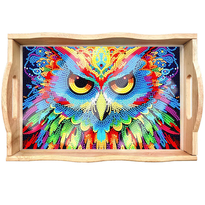 Gorgeous and Colorful Owl Wooden Serving Tray Diamond Painting