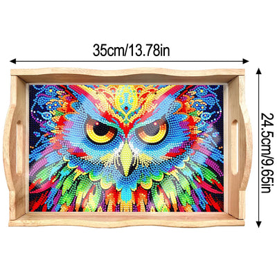 Gorgeous and Colorful Owl Wooden Serving Tray Diamond Painting