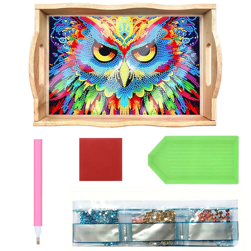 Gorgeous and Colorful Owl Wooden Serving Tray Diamond Painting