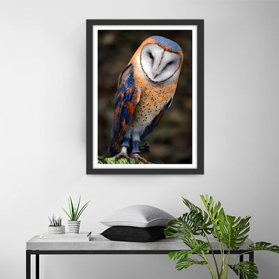 Owl Orange and Blue Diamond Painting