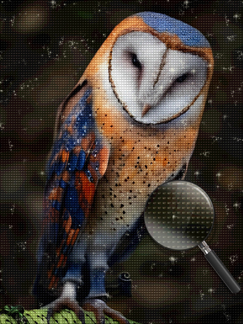 Owl Orange and Blue Diamond Painting