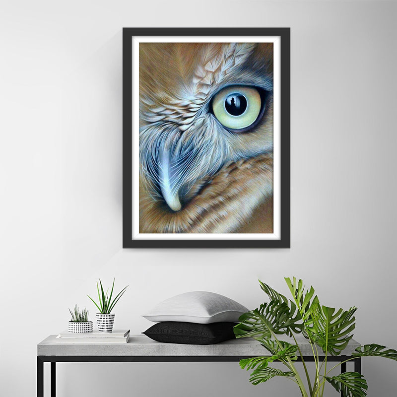 Brown Owl Half Face Diamond Painting