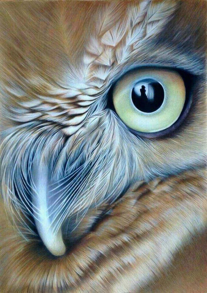 Brown Owl Half Face Diamond Painting