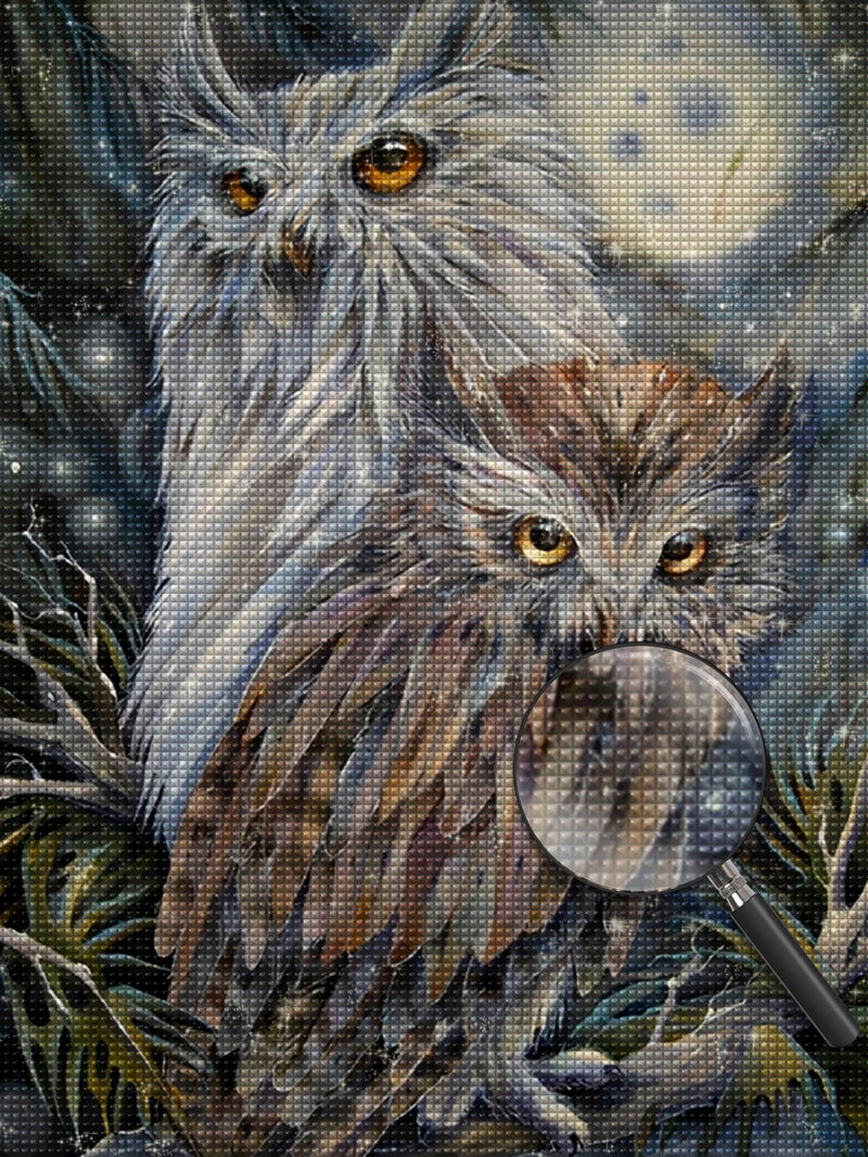 Two Cute Owls Diamond Painting