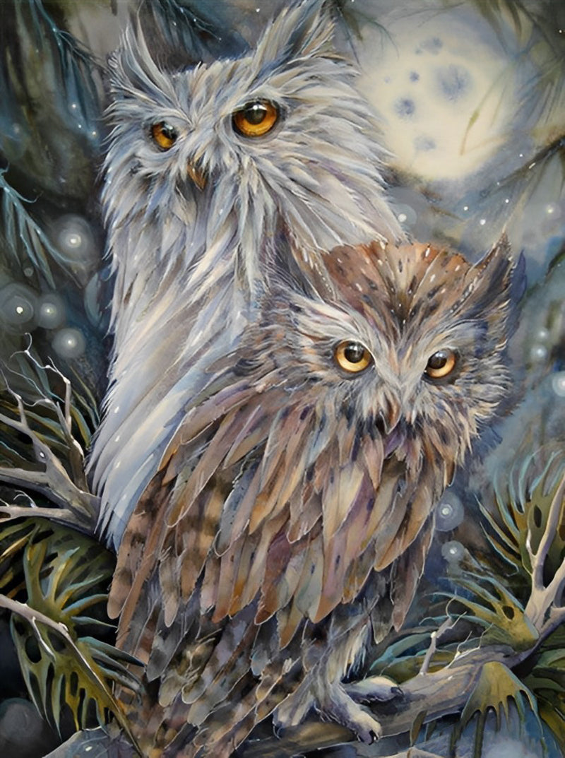 Two Cute Owls Diamond Painting