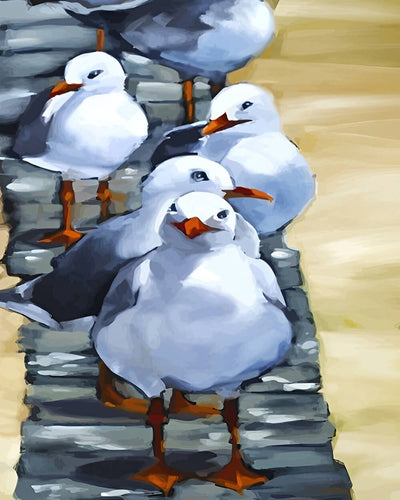 A Group of White Seagull Babies Diamond Painting