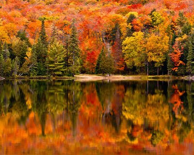 Autumn Woods and Reflection Diamond Painting