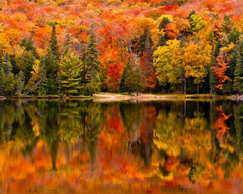 Autumn Woods and Reflection Diamond Painting
