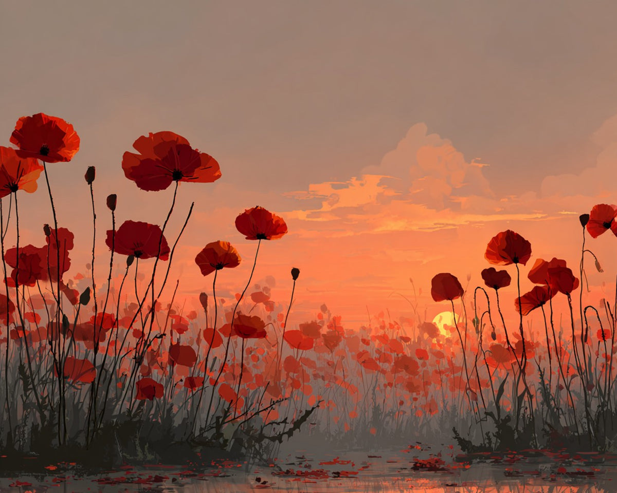Beautiful Poppy Fields at Sunset Diamond Painting