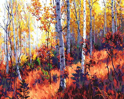 Birch in Autumn Diamond Painting