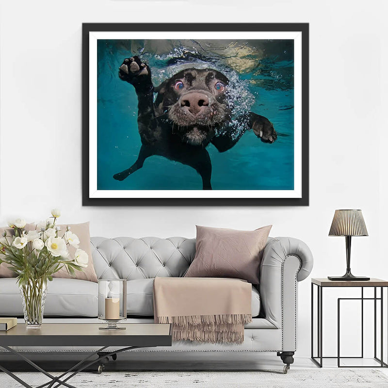 Black Dog in Water Diamond Painting