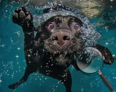 Black Dog in Water Diamond Painting