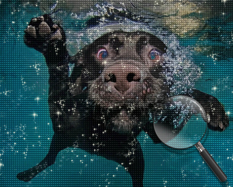 Black Dog in Water Diamond Painting