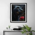 Black Panther and Red Rose in the Rain Diamond Painting