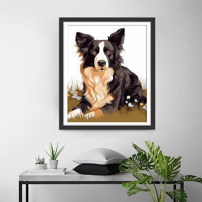 Border Collie Sitting on the Grass Diamond Painting
