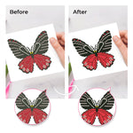 Butterfly Specimen 12Pcs - Mini Diamond Painting Kit