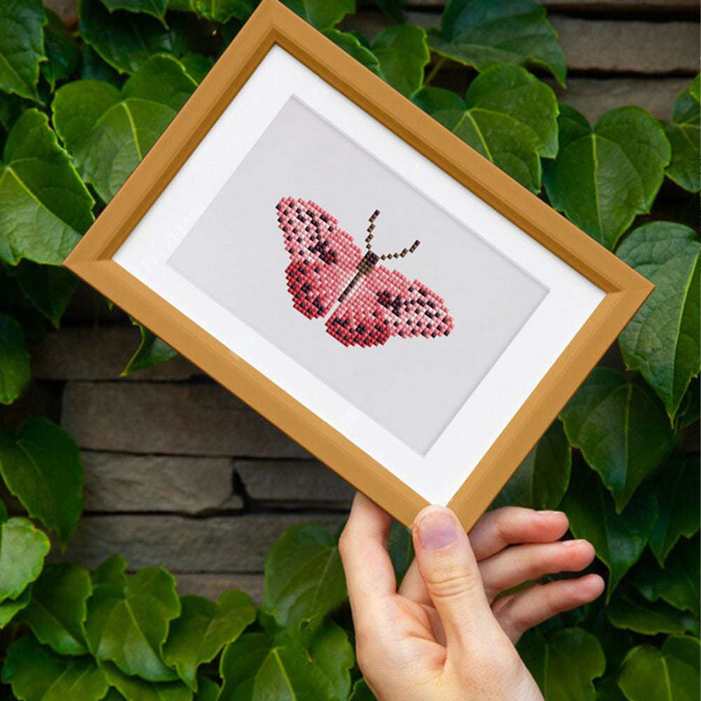 Butterfly Specimen 12Pcs - Mini Diamond Painting Kit