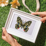 Butterfly Specimen 12Pcs - Mini Diamond Painting Kit