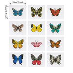 Butterfly Specimen 12Pcs - Mini Diamond Painting Kit