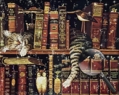 Cat on Bookshelf Diamond Painting