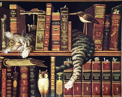 Cat on Bookshelf Diamond Painting