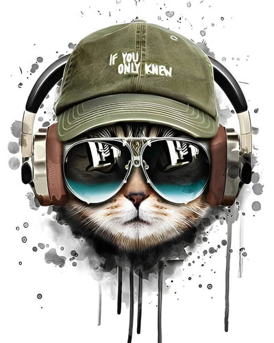 Cat with Sunglasses and Hat Diamond Painting