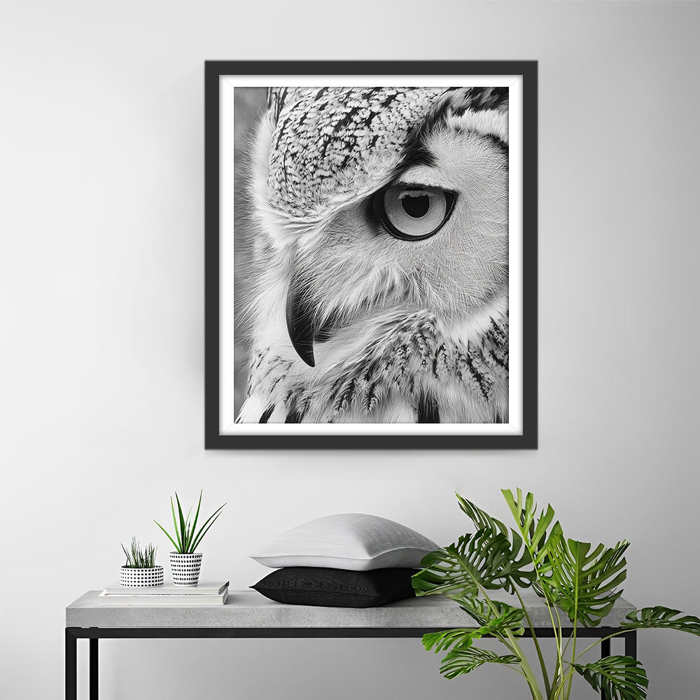 Close-Up of an Owl Diamond Painting