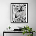 Close-Up of an Owl Diamond Painting