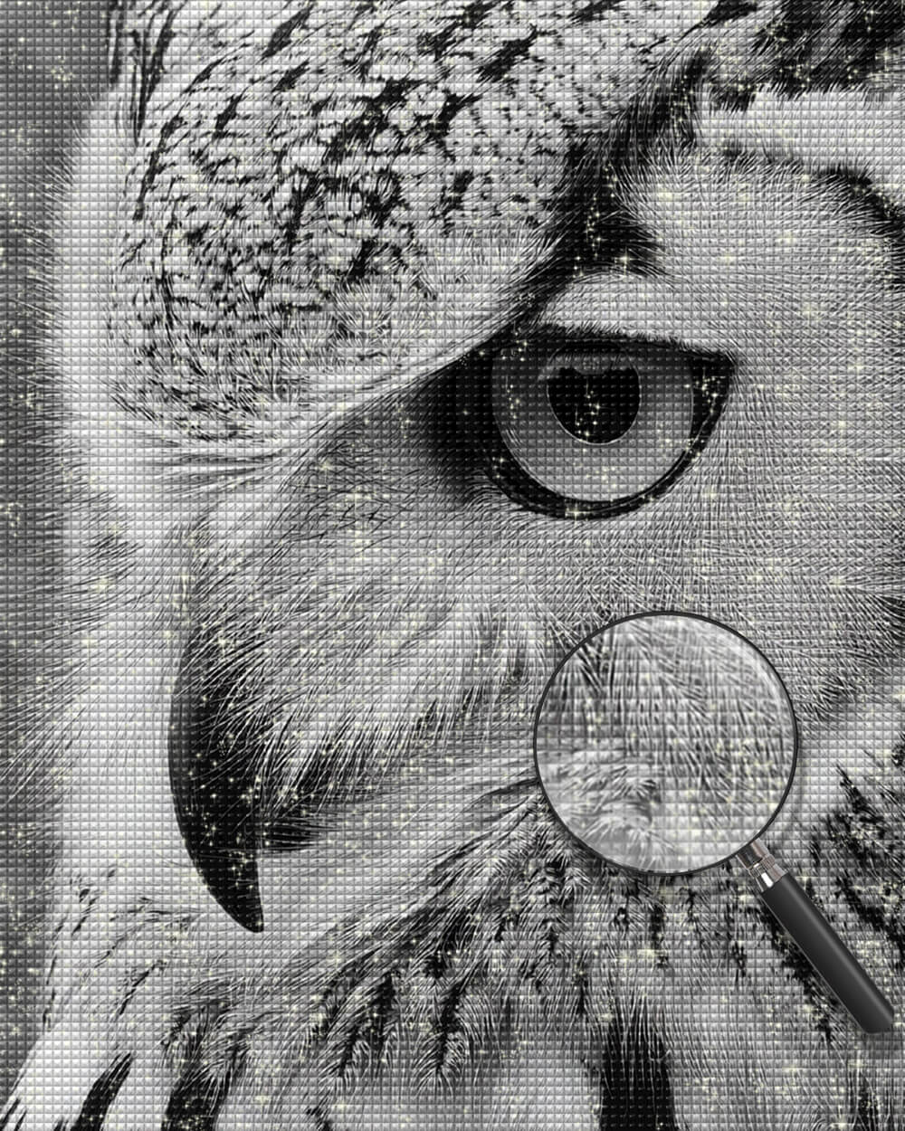 Close-Up of an Owl Diamond Painting