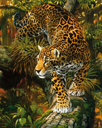 Clouded Leopard Foraging Diamond Painting