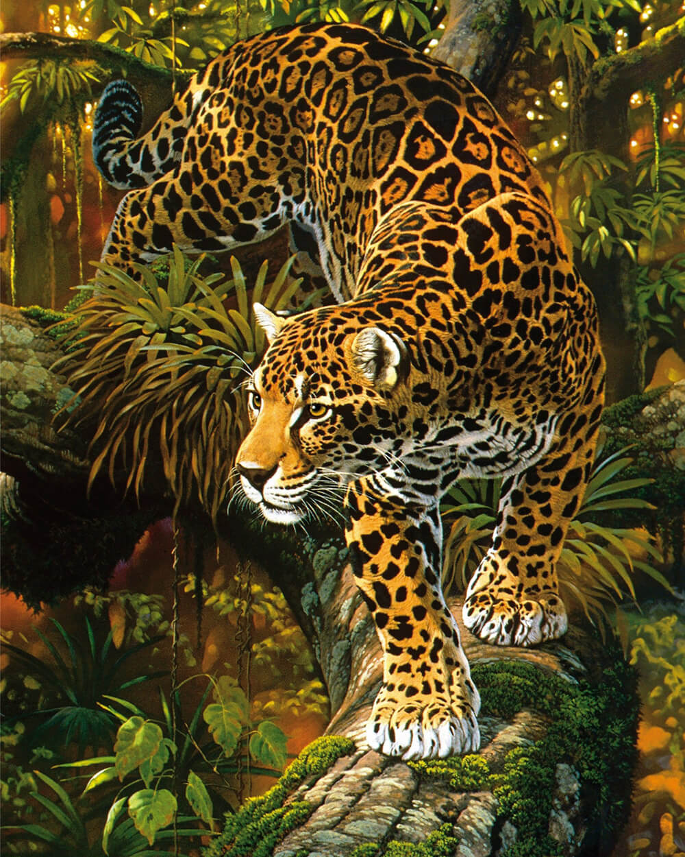Clouded Leopard Foraging Diamond Painting