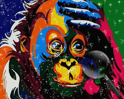 Colorful Monkey Diamond Painting