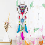 Colorful Owl Dreamcatcher 2D Flat Hanging Diamond Painting Kits