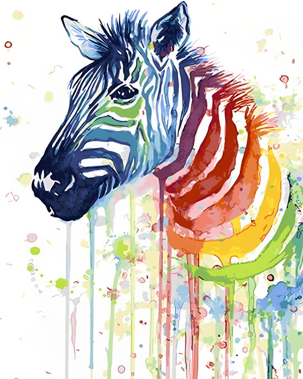 Colorful Zebra Diamond Painting