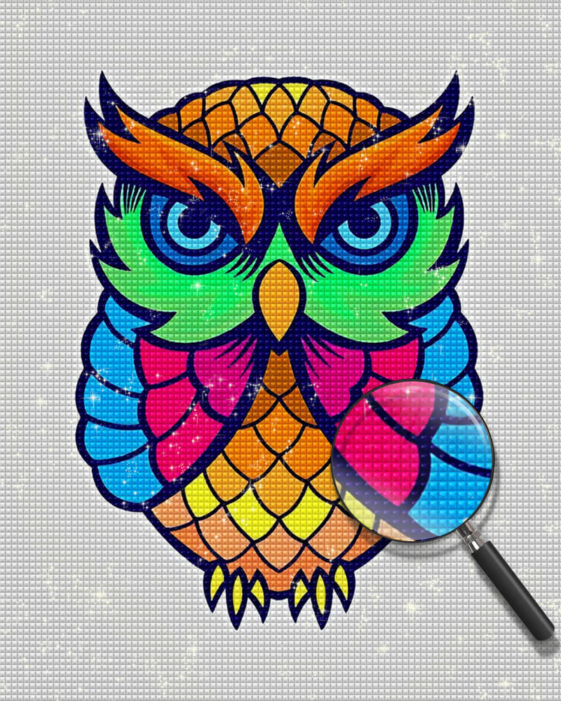 Colourful Cartoon Owl Diamond Painting