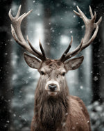 Deer in the Flying Snow Diamond Painting