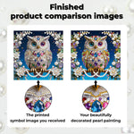 Diamond Painting | Pearl Painting | A Magnificent, Colorful Owl