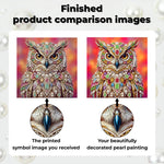 Diamond Painting | Pearl Painting | An Owl Studded with Jewels