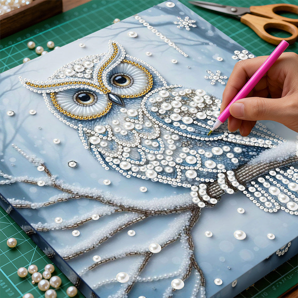 Diamond Painting | Pearl Painting | Owl in the Snow Forest