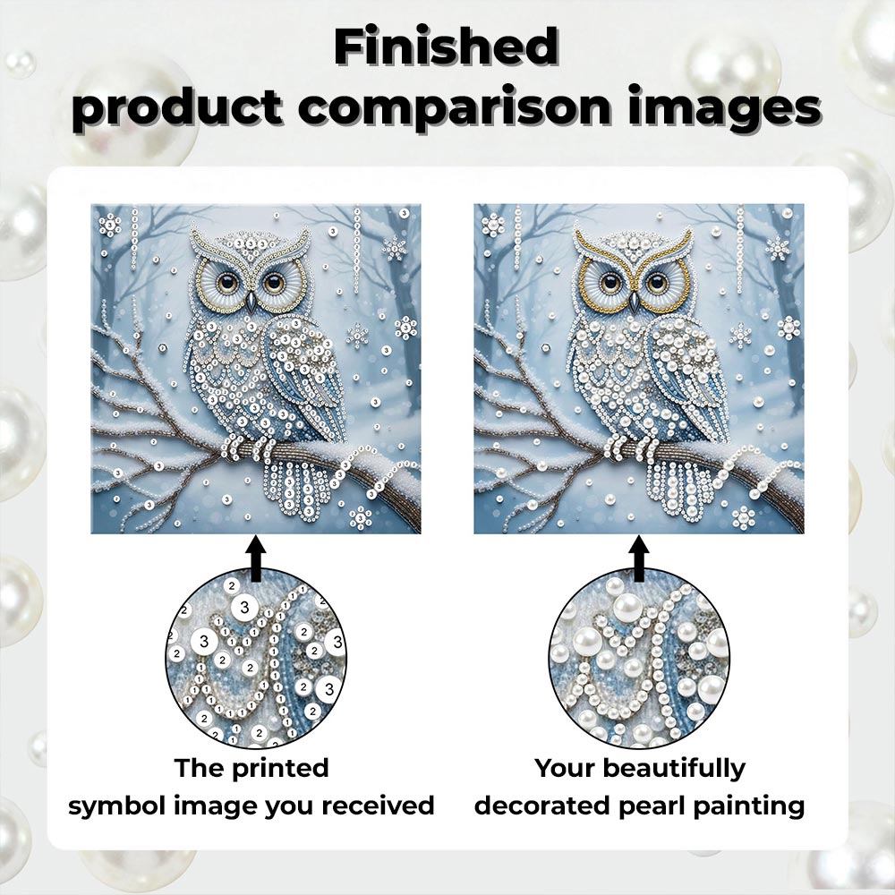 Diamond Painting | Pearl Painting | Owl in the Snow Forest