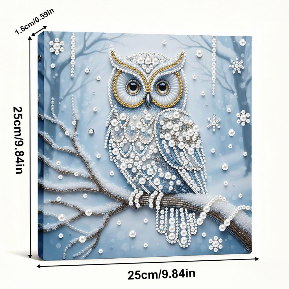 Diamond Painting | Pearl Painting | Owl in the Snow Forest