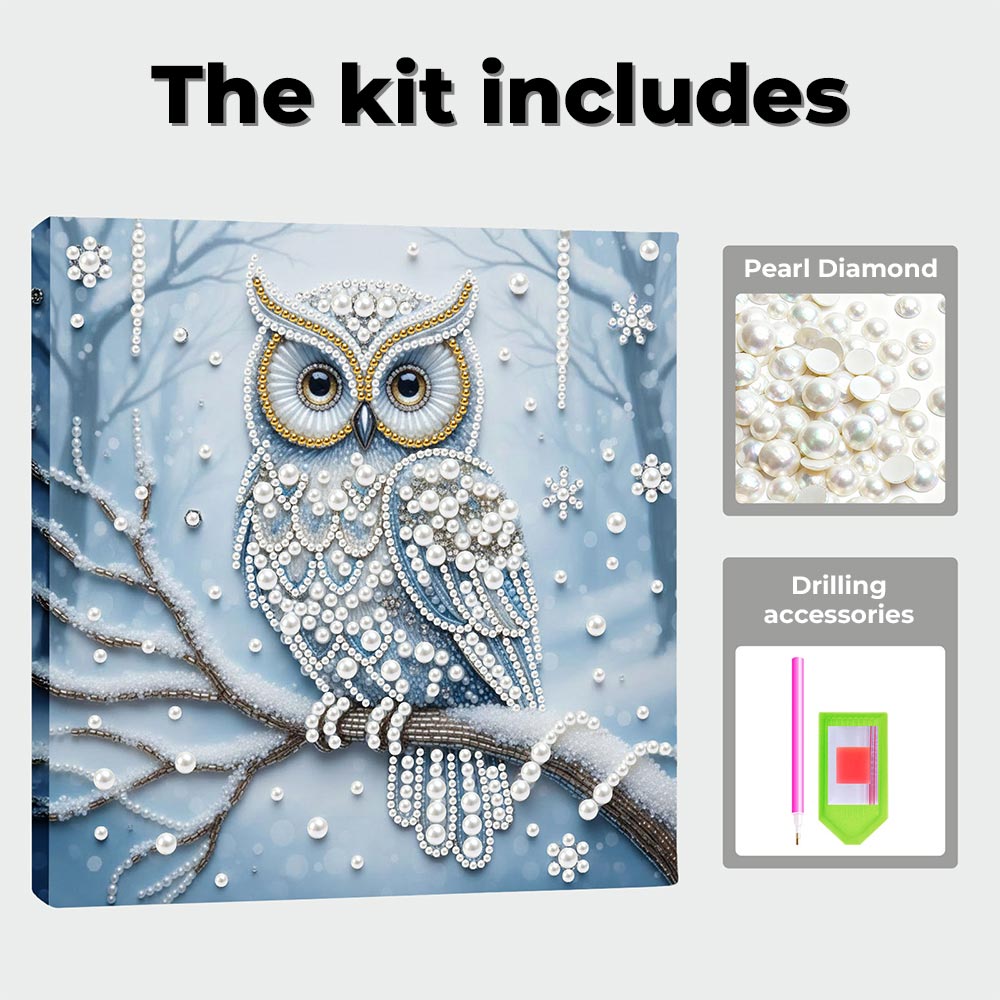 Diamond Painting | Pearl Painting | Owl in the Snow Forest