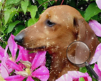 Dog among Flowers Diamond Painting